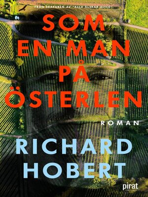 cover image of Som en man på Österlen